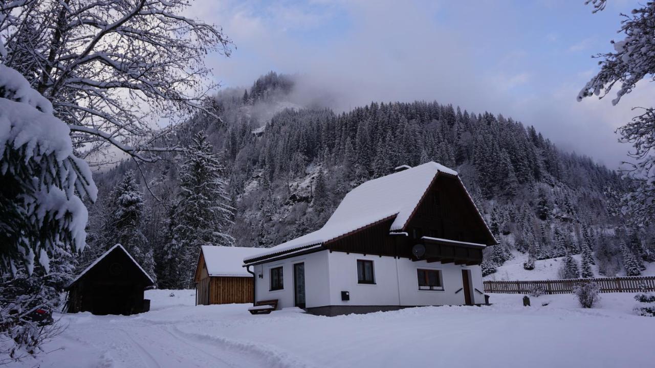 Haus Cilli Villa Donnersbachwald Exteriör bild